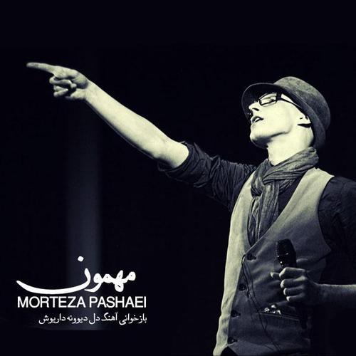 آهنگ بی کلام مهمون از مرتضی پاشایی